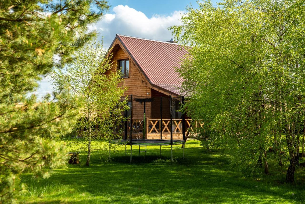Brzozowy Zakatek Villa Dziemiany Exterior foto
