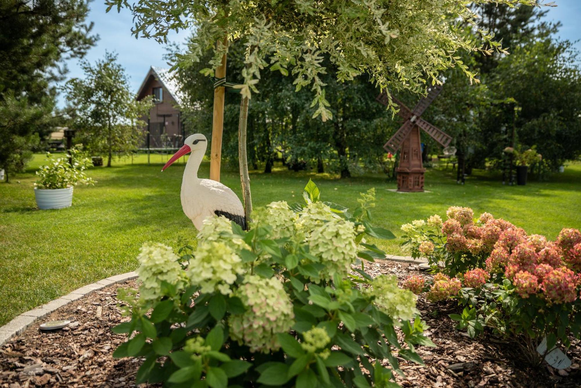 Brzozowy Zakatek Villa Dziemiany Exterior foto